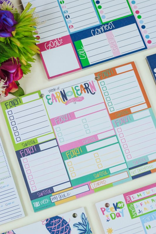 Earn & Learn® Kids Money Management Chore Chart Pad
