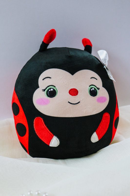 Lucy Ladybug Squishy Beanie Baby