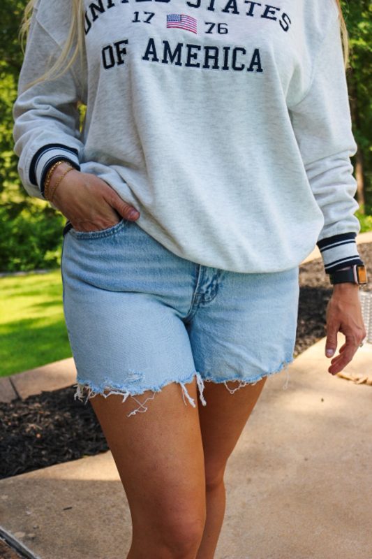 Vervet High Rise Light Wash Denim Shorts